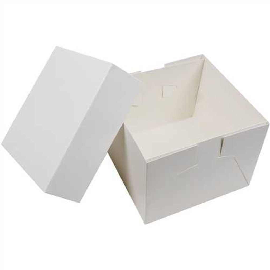 Plain Cake Box 10x10x6" x 50