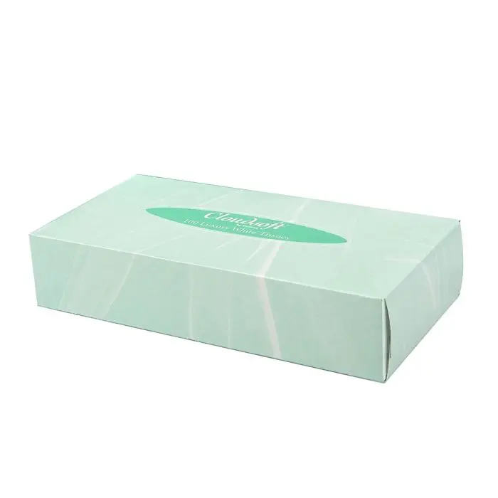 Cloudsoft Facial Tissues - 2 Ply - 100 Sheets Case of 36 