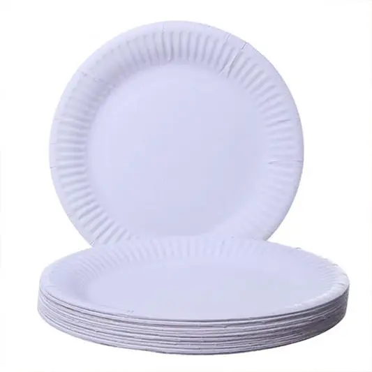 19" White Paper Plate pack of 1000 