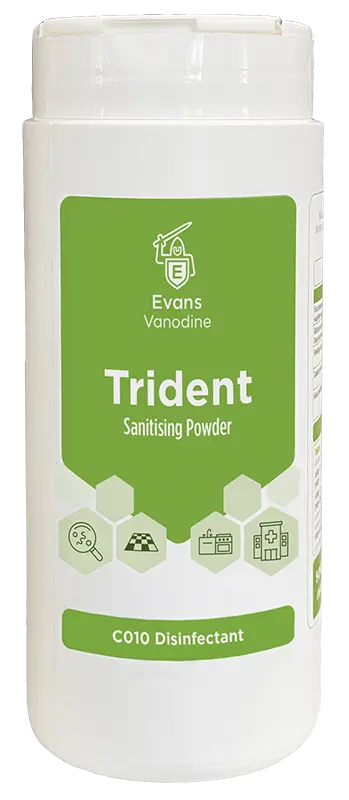 Evans Trident Multi Purpose Sanitising Powder 500gms x12