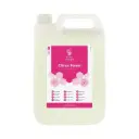 Evans Handwash Citrus Foam - 5 litres