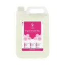 Evans Handwash Trigon Foam Plus - 5 litres