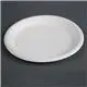 Bagasse plate 10" 250mm round x 500 