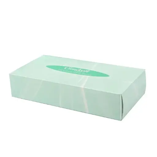 [PHFT260] Cloudsoft Facial Tissues - 2 Ply - 100 Sheets Case of 36 
