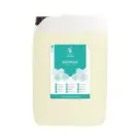Evans Dishwash  Detergent 10L 