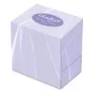 Cloudsoft Cube Facial Tissues - 2 Ply - 70 Sheets Case of 24 boxes