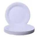9" White Paper Plate x 1000