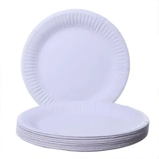 [EPWP900] 19" White Paper Plate pack of 1000 