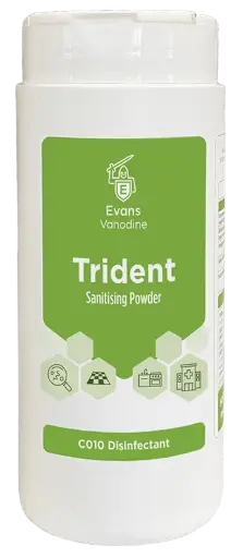 [ETSP500] Evans Trident Multi Purpose Sanitising Powder 500gms x12
